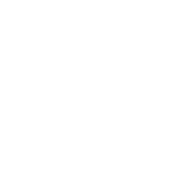 SDVOSB logo in white