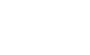 VIP logo in white
